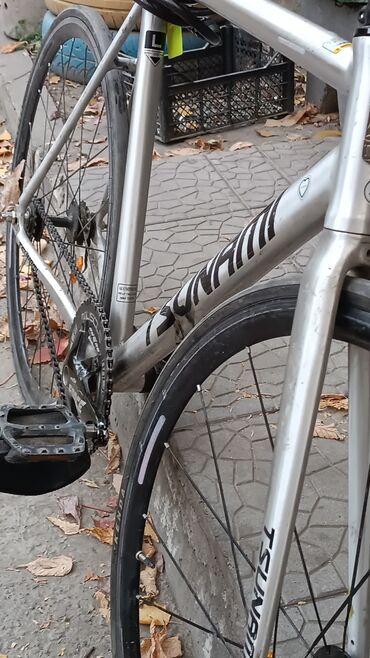 цунами фикс: Городской велосипед, Tsunami, Рама L (172 - 185 см), Б/у