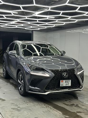 Lexus: Lexus NX: 2020 г., Бензин, Кроссовер — 4