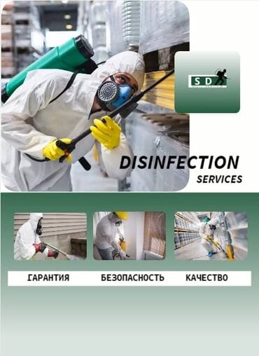 инсектицид: Дезинфекция, дезинсекция | Клопы, Блохи, Тараканы | Транспорт, Офисы, Квартиры