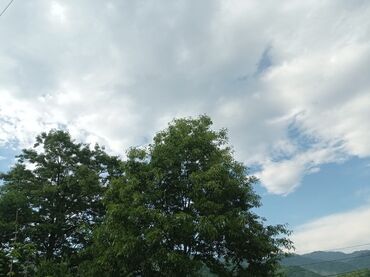 Bağ evlərinin kirayəsi: 40 kv. m, 2 otaqlı, Hovuzsuz, Kanalizasiya, İşıq, Qaz — 22