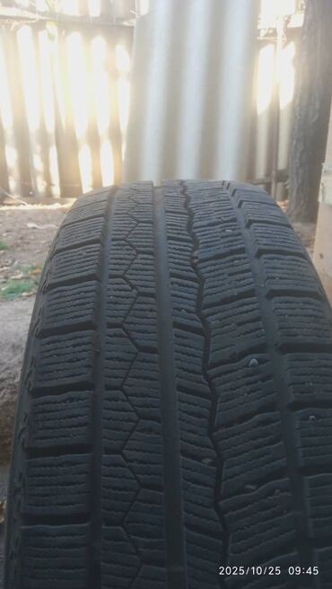 фуры тягач: Зимняя шина на литом диске - Тип: зимняя (ненаправленный рисунок