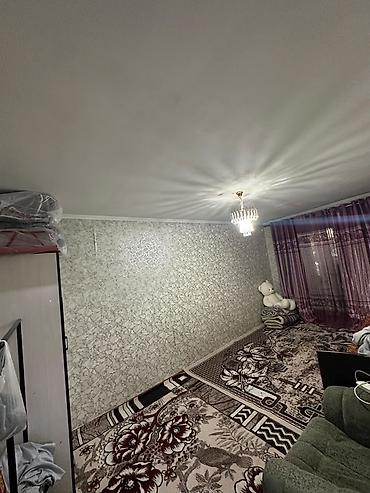 1 комната бишкек: 2 бөлмө, Менчик ээси, Кыздарга гана, 1 жылдан баштап, Жарым -жартылай эмереги бар — 1
