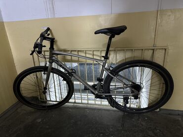 купить трехколесный велосипед для взрослых: Городской велосипед, Trinx, Рама XL (180 - 195 см)