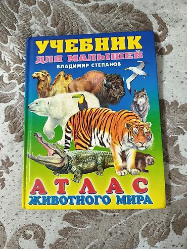слив школьник: Детские книги В. Степанова — комплект для раннего развития. Состав: - — 1
