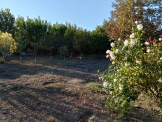 Həyət evləri və villaların satışı: Həyətyanı sahəsi olan daş tikili - Daş divarlı, möhkəm konstruksiyalı — 6