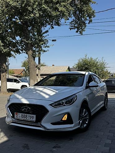 аварийный соната: Hyundai Sonata: 2019 г., 2 л, Автомат, Газ, Седан — 7