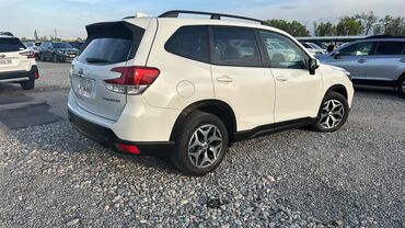 подкрылки субару: Subaru Forester: 2019 г., 2.5 л, Вариатор, Бензин, Кроссовер