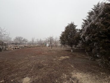 Продажа домов: Дом, 105 м², 4 комнаты, Собственник, Евроремонт — 3