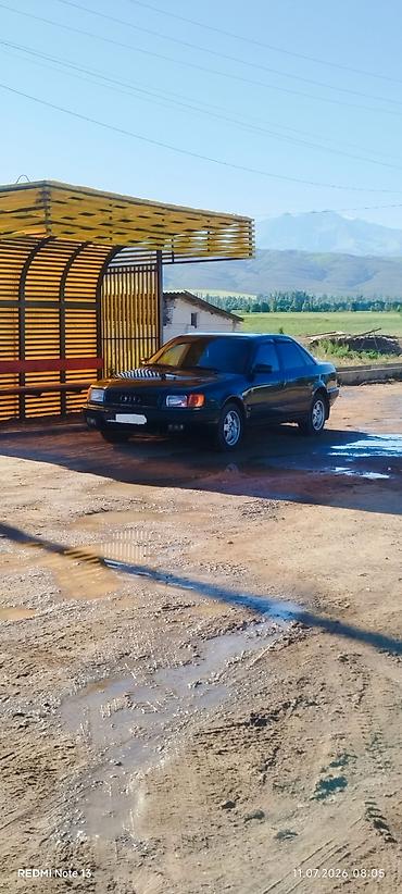 bwb e34: Audi 100: 1993 г., 2.6 л, Механика, Бензин, Седан — 4