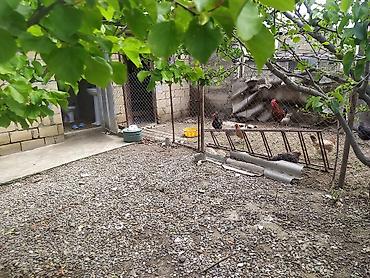 Həyət evləri və villaların satışı: 3 otaqlı, 250 kv. m, Orta təmir — 7