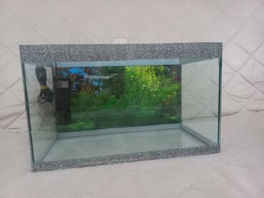 AKVARIJUM za ribice dimenzija: D-40cm Š-21cm V-24,5cm sa dvodelnim