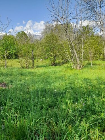 Torpaq sahələrinin satışı: 30 sot, Kənd təsərrüfatı, Mülkiyyətçi, Kupça (Çıxarış) -da lalafo.az — 11 Torpaq sahələrinin satışı: 30 sot, Kənd təsərrüfatı, Mülkiyyətçi, Kupça (Çıxarış) — 11