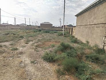 Torpaq sahələrinin satışı: 6 sot, Tikinti, Kupça (Çıxarış) — 8