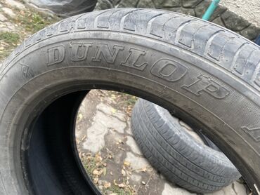 шины на рекс спринтер: Шины 275 / 50 / R 21, Лето, Внедорожные (АТ/МТ), Dunlop