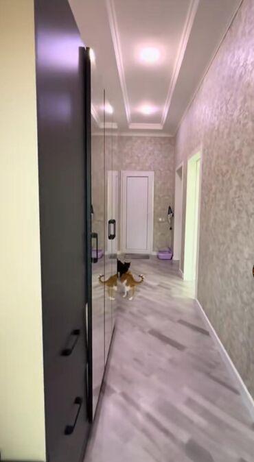 Həyət evləri və villaların satışı: Binəqədi qəs. 5 otaqlı, 120 kv. m, Yeni təmirli -da lalafo.az — 7 Həyət evləri və villaların satışı: Binəqədi qəs. 5 otaqlı, 120 kv. m, Yeni təmirli — 7