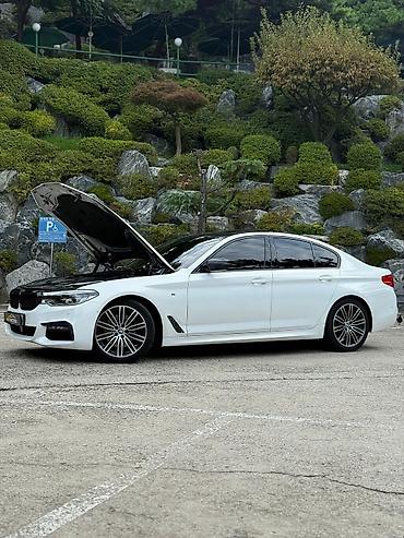 BMW: BMW 5 series: 2019 г., 2 л, Автомат, Бензин, Седан — 2