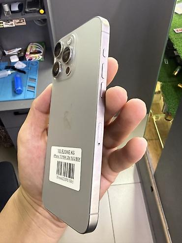 айфон 15 плюс: IPhone 15 Pro Max, 256 ГБ, цвет светло‑серый (серебристый). В — 3