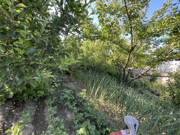 Продажа домов: Дом, 759 м², 6 комнат, Собственник — 6