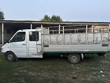e53 amg: Грузовик, Mercedes-Benz, Дубль, 3 т, Б/у — 2