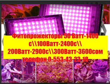 светодиодные лампы для уличного освещения цена: Тайвань фитолампы фитолента фито прожекторы 21 вид прямые поставки с