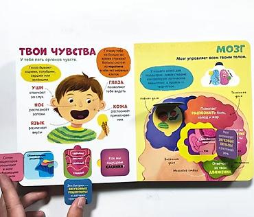 мозг: Книга с окошками «Тело человека» (издательство Clever) - Формат — 3