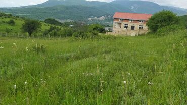 Torpaq sahələrinin satışı: Tikinti, Mülkiyyətçi, Kupça (Çıxarış)