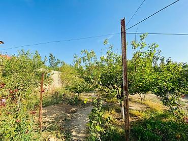 Bağ evlərinin satışı: Bakı, 60 kv. m, 2 otaqlı, Kombi, Qaz, İşıq — 10
