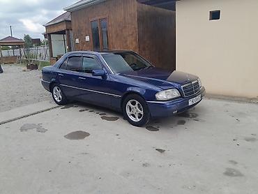 volkswagen polo 1: Mercedes-Benz bizin dille desey cewka.trasdarin wahi rahat konfort — 2