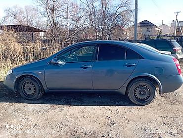 лак авто: Nissan Primera: 2023 г., 0.2 л, Бензин, Седан — 3