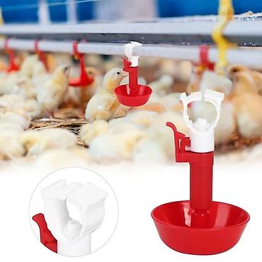 Миски для воды и еды: Çaşka nipel qırmızı Bu məhsul, quşçuluqda istifadə olunan yüksək — 4
