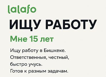 Помощник. Без опыта