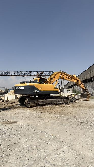 belarus mtz 82 1: Экскаватор, Hyundai, 2009 г., Гусеничный — 1