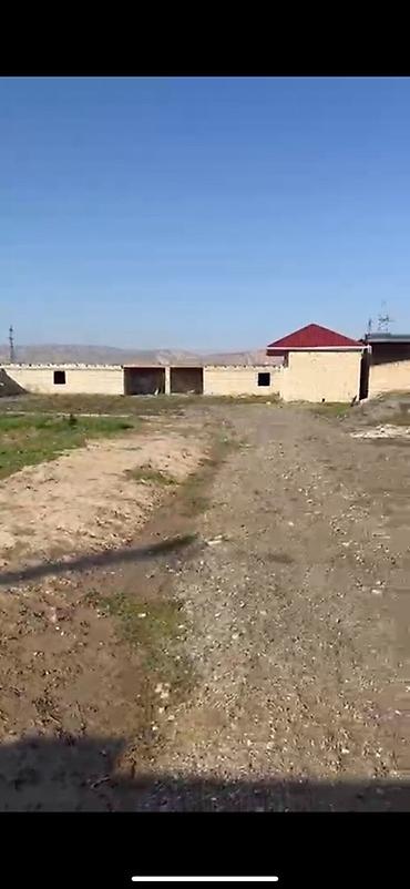 kirayə ev zabrat 1: 12 sot, Kənd təsərrüfatı, Kupça (Çıxarış) — 8