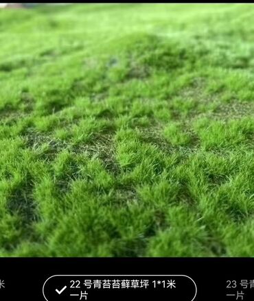 Digər bitkilər: Məhsul: Təbiətvi̇ zolaqlı yosun/mahov örtüyü – hazır plitələr Təsvir — 3