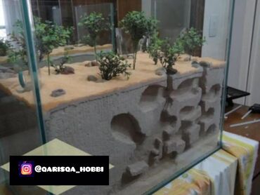 Heyvanlar üçün digər mallar: Hər ölçüdə hər dizaynda qarışqa yuvaları yığılır səliqəli və təmiz — 18