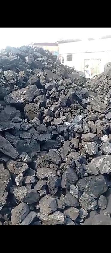 асма шам: Шабыркүл көмүрү, Өзү алып кетүү, Акысыз жеткирүү, Акылуу жеткирүү, Чекене, Фракциясы: Штыб (Ш), Тонна менен — 4