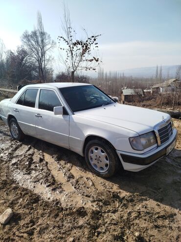 краска для машин: Mercedes-Benz W124: 1992 г., 2.5 л, Механика, Дизель, Седан