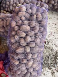 Бочки: Бак, Дуб, 10000 л. л, Новый, Бесплатная доставка