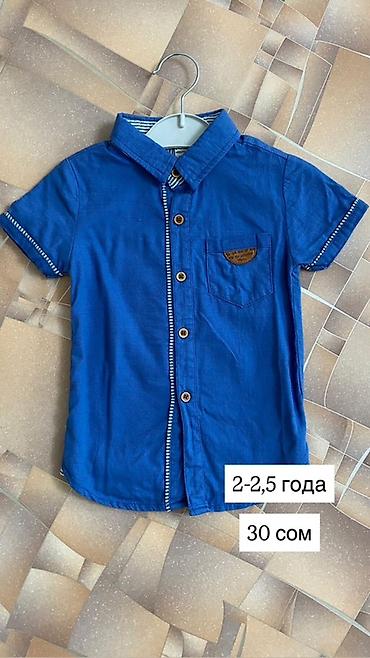 Топы и рубашки: Рубашка — 2