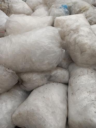 листовой пэт: Прием пластика, 3 - PVC (ПВХ) — 4