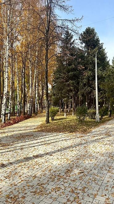 Продажа коттеджей и домов: Продается коттедж в пансионате Солнышко, Чок-Тал. Собственник. Участок — 8