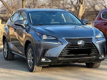 продажа авто матиз: Lexus NX: 2018 г., 2.5 л, Вариатор, Гибрид, Кроссовер