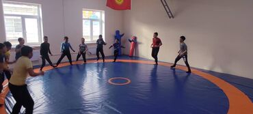 Другое для спорта и отдыха: Борцовский ковер и маты.Гарантия от 5-10 лет олимпийский комплект — 30