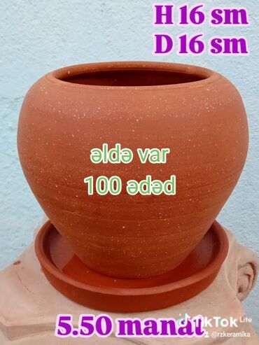 Букетные цветы: Salam hündürlük 13 sm dibcek - 4.50 manat hündürlük 15 sm dibçək -