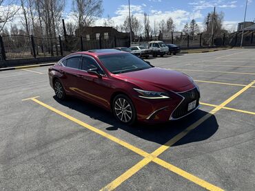 Lexus: Lexus ES: 2021 г., 2.5 л, Автомат, Бензин, Седан — 11