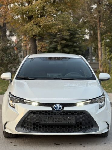 тойота каролла спасио: Toyota Corolla: 2020 г., 1.8 л, Вариатор, Гибрид, Седан