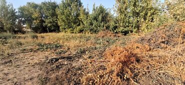 сколько стоит одна сотка земли в кыргызстане: 1435 соток, Кызыл китеп