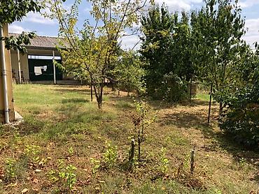 Günlük kirayə evlər: 60 kv. m, 2 otaqlı, Su — 10