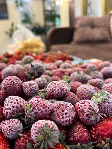 Другое холодильное оборудование: Камера шоковой заморозки Камера шоковой заморозки на 6 уровней — 9