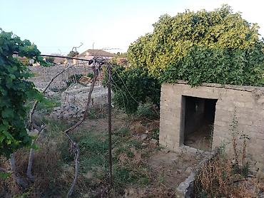 şağan torpaq satılır: 7 sot, Tikinti, Mülkiyyətçi, Kupça (Çıxarış) — 6